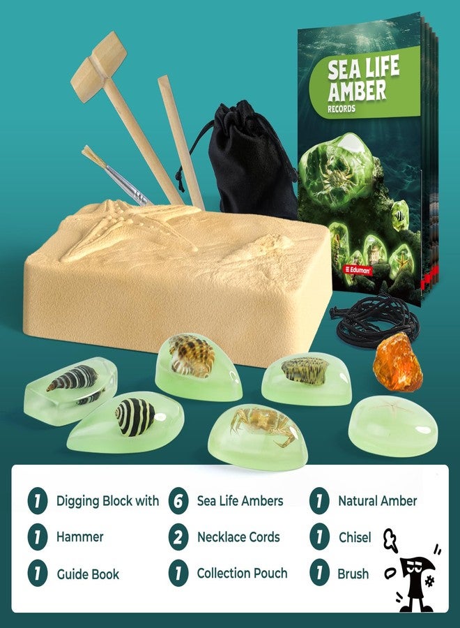 EDUMAN Amber Dig Kit-6 Artificial Sea Life Resin Specimens, Glow in The Dark Oceanlife Fossil Excavation Set, STEM Inspired Educational Toy for Kids Ages 6-12, for Boys & Girls - Image 2